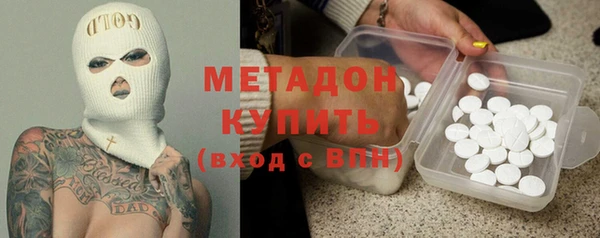 прущие грибы Верея