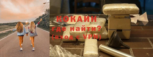 прущие грибы Верея