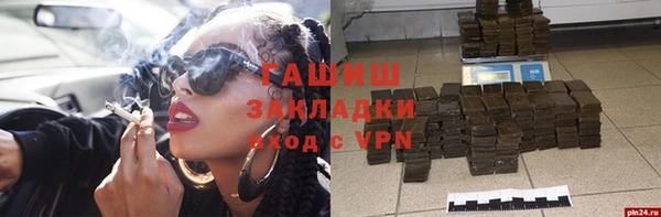 прущие грибы Верея