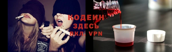 прущие грибы Верея