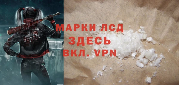 прущие грибы Верея