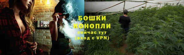 ГАЛЛЮЦИНОГЕННЫЕ ГРИБЫ Верхнеуральск
