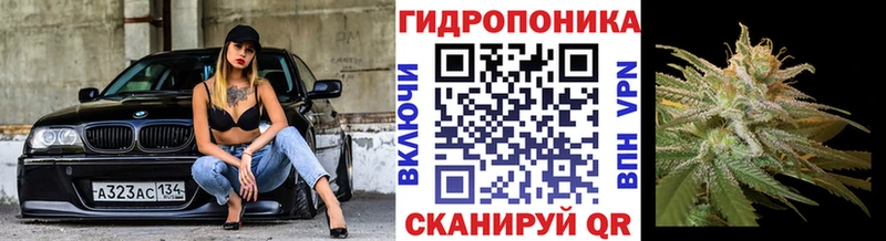 Купить закладки  Лаишево  Каннабис тримм 